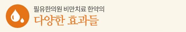 다양한 효과들