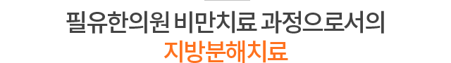 필유한의원 비만치료 과정으로서의 지방분해치료