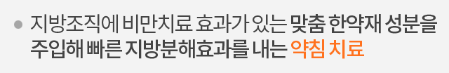 지방조직에 비만치료 효과가 있는 맞춤 한약재 성분을 주입해 빠른 지방분해효과를 내는 약침 치료