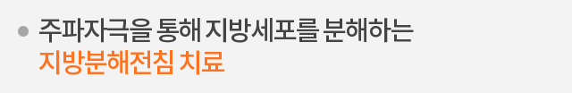 주파자극을 통해 지방세포를 분해하는 지방분해전침 치료