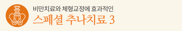 스페셜 추나치료 3